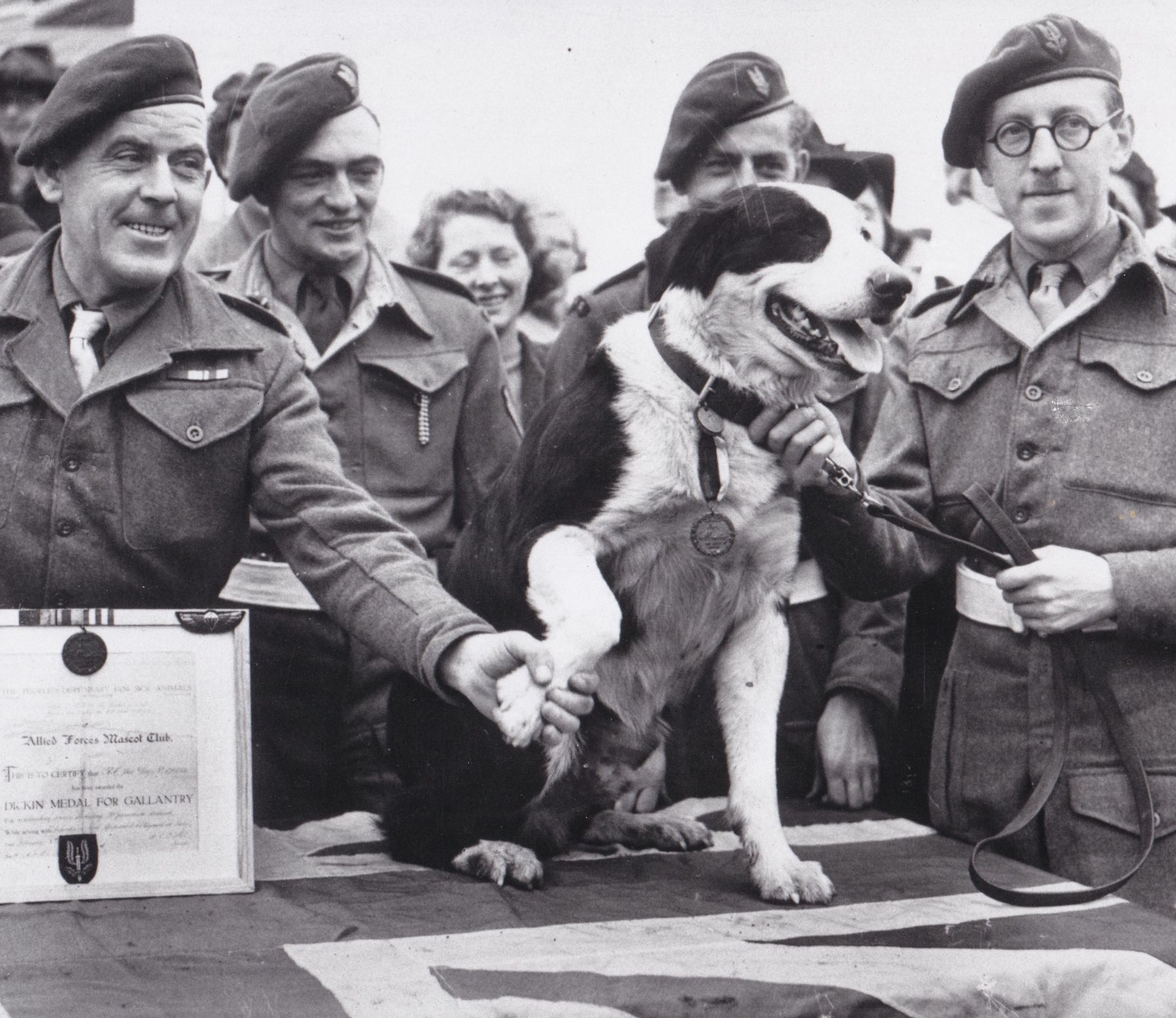 Rob, The Parachuting Dog